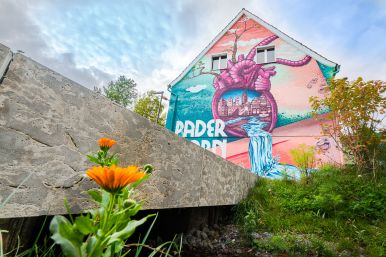 Graffiti im Haxthausengarten in Paderborn - Sabine Peter